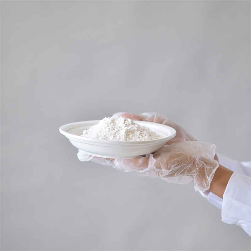 Hydroxypropyl métil selulosa CAS 9004-65-3